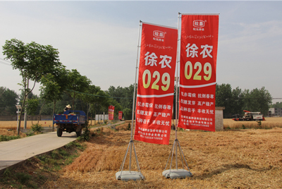 皖墾種業(yè)科企合作項目再創(chuàng)佳績