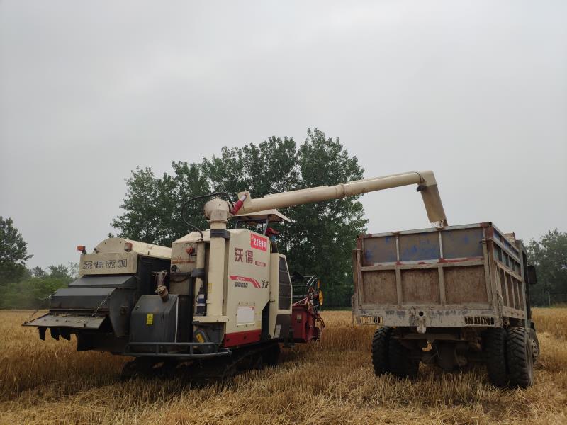 天長(zhǎng)分公司：全力以赴決戰(zhàn)午收