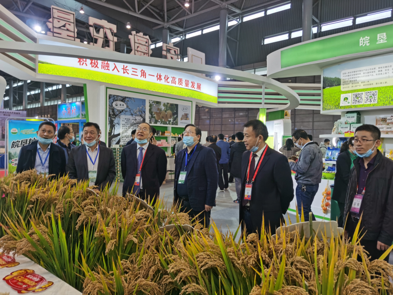 皖墾種業(yè)特色新品種亮相農(nóng)交會農(nóng)墾展廳