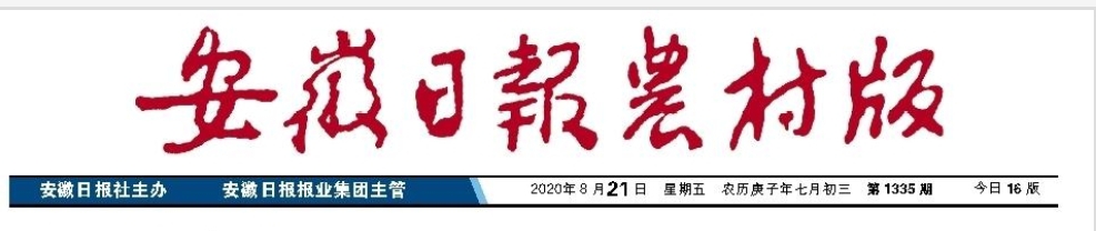 彰顯國企擔(dān)當(dāng) 皖墾種業(yè)打響“軟麥”營銷戰(zhàn)