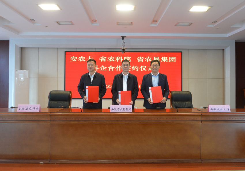 安徽省農墾集團與安徽農業(yè)大學、安徽省農科院簽署戰(zhàn)略合作協(xié)議