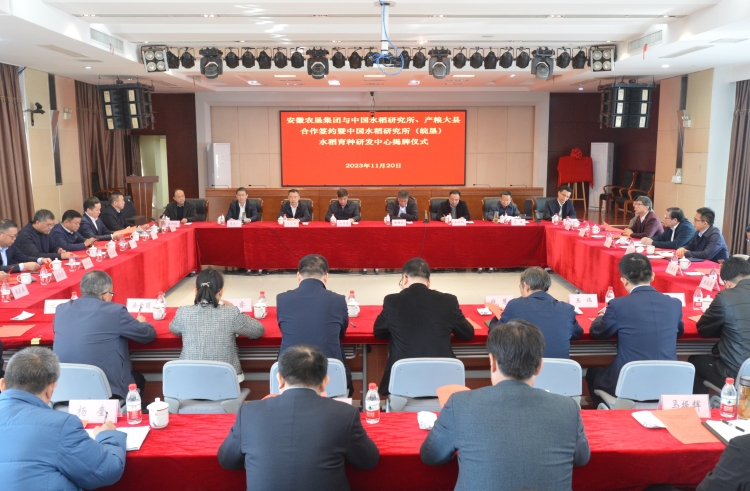 安徽省農(nóng)墾集團與中國水稻研究所、產(chǎn)糧大縣合作簽約暨中國水稻研究所（皖墾）水稻育種研發(fā)中心揭牌儀式成功舉行